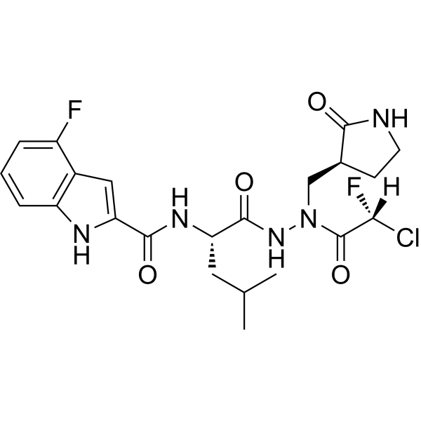 SARS-CoV-2 3CLpro-IN-5 2913186-57-7